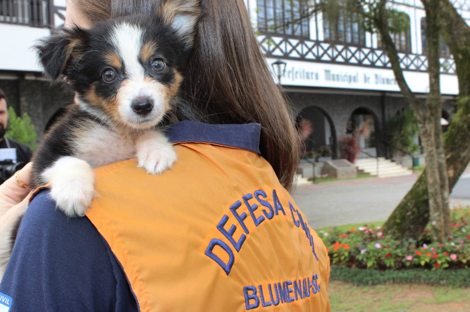 Conheça a nova mascote de Defesa Civil e ajude a eleger o nome dela