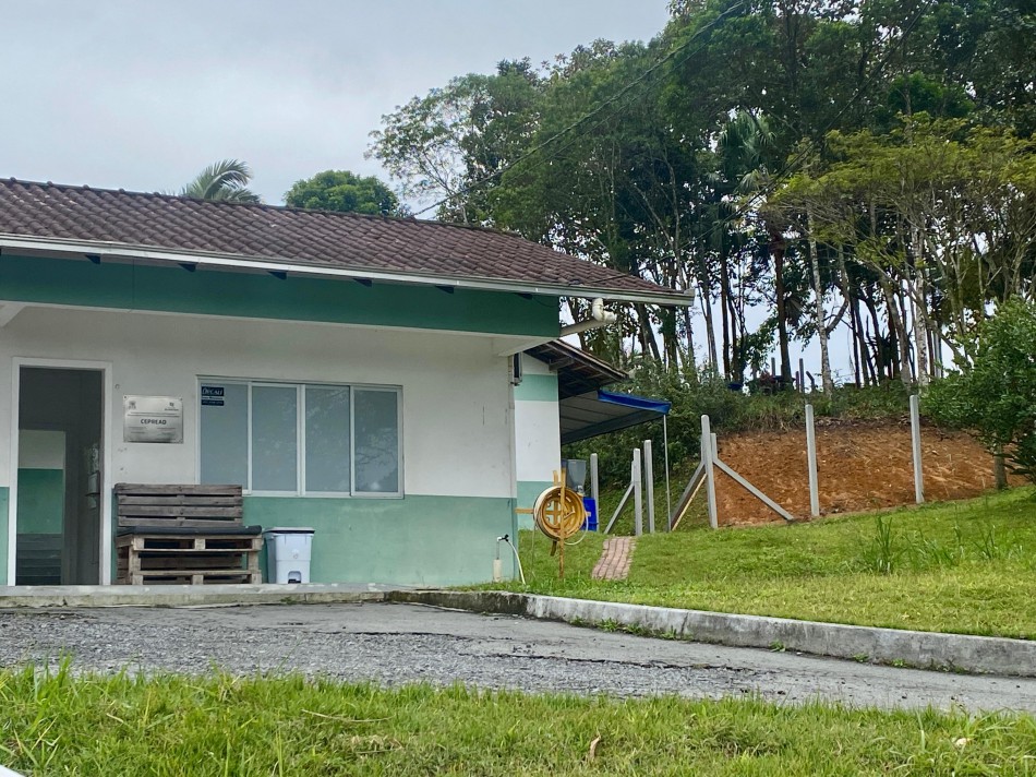 Pets do Cepread ganham nova área ao ar livre e melhorias nas baias