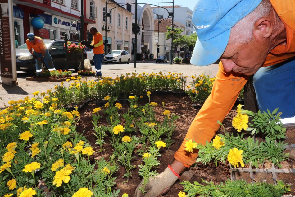 Plantio de flores é retomado em Blumenau