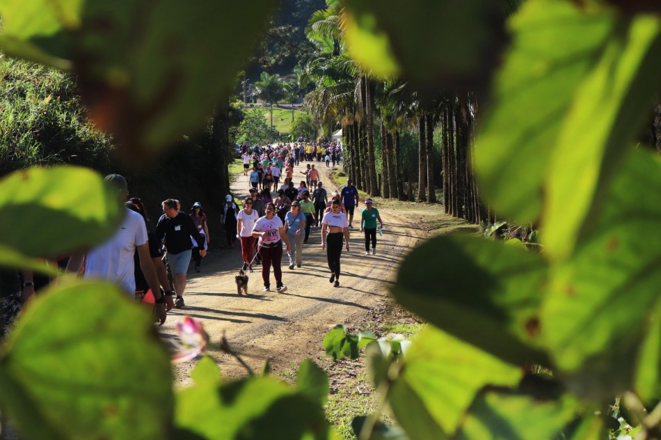 Blumenau se enche de arte e lazer com atrações gratuitas e para toda a família