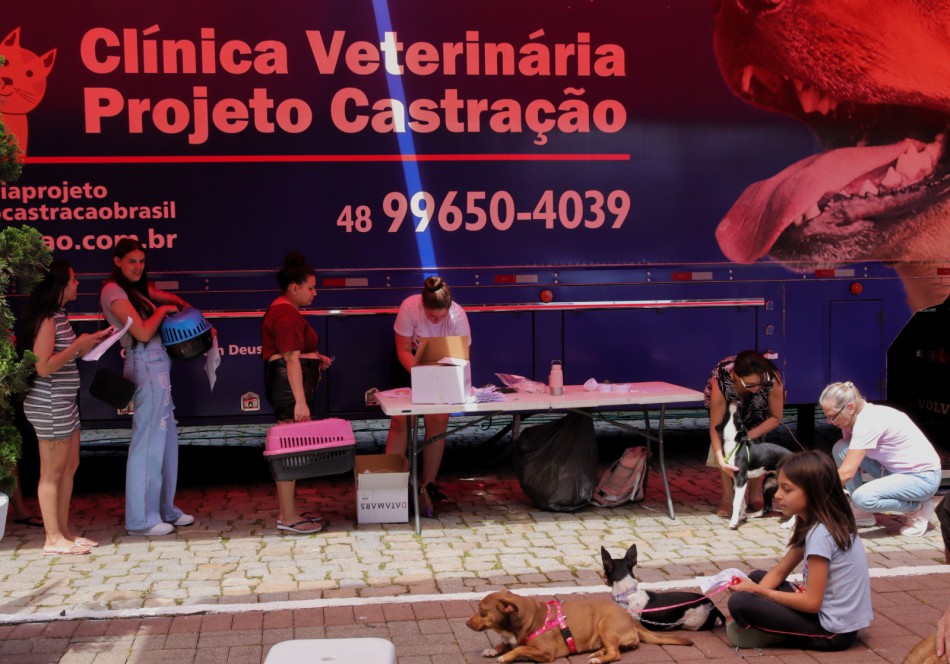 Blumenau realiza castração de quase 20 mil animais em três anos