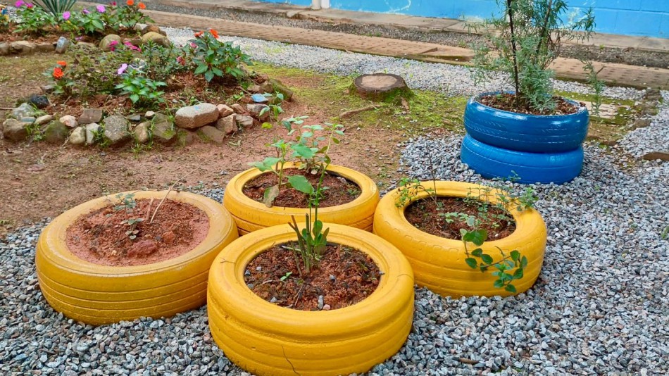 EBM Conselheiro Mafra inaugura espaço de chás em ação do Junho Verde