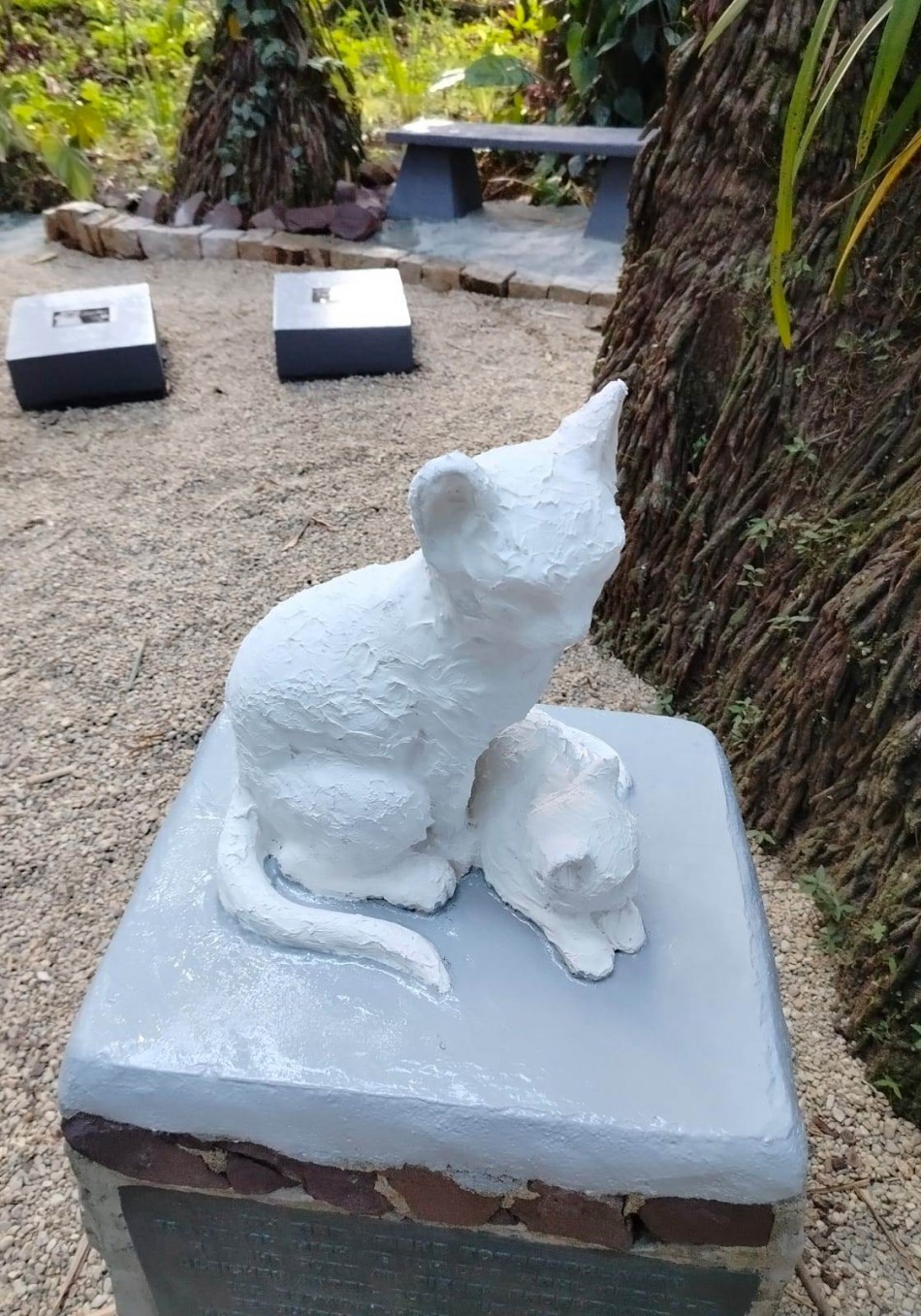 Cemitério de Gatos está com novo visual