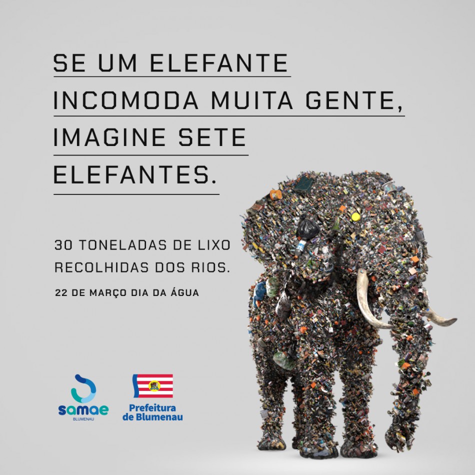 Campanha do Samae Blumenau "Um elefante incomoda muita gente" recebe destaque em site internacional