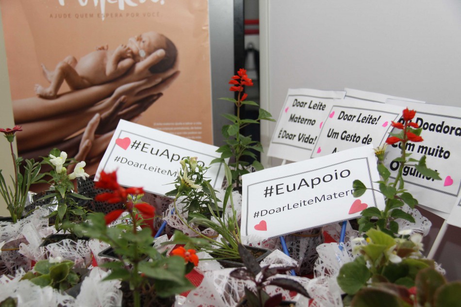 Banco de Leite Humano de Blumenau promove café com as mães doadoras