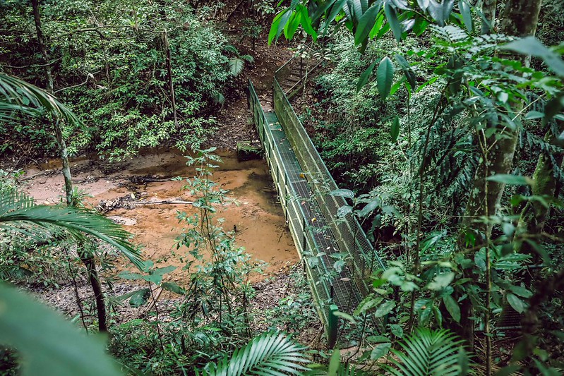 Inscrições abertas para audiência pública que vai apresentar Novo Código do Meio Ambiente de Blumenau