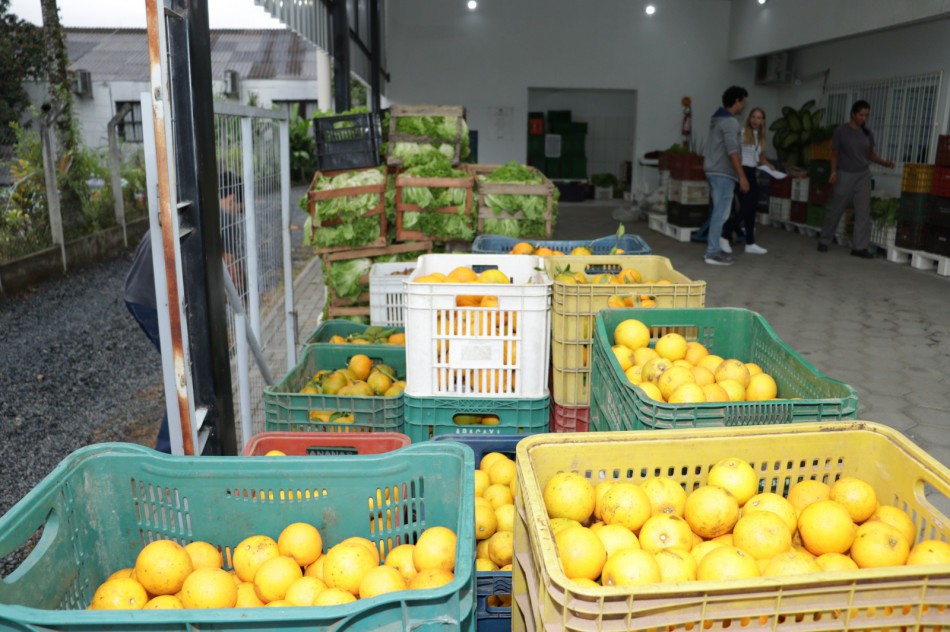 Secretaria de Desenvolvimento Social recebe doação de seis toneladas de alimentos