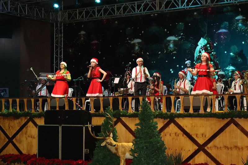Programação de Natal tem apresentações culturais todos os dias e reúne artistas da região