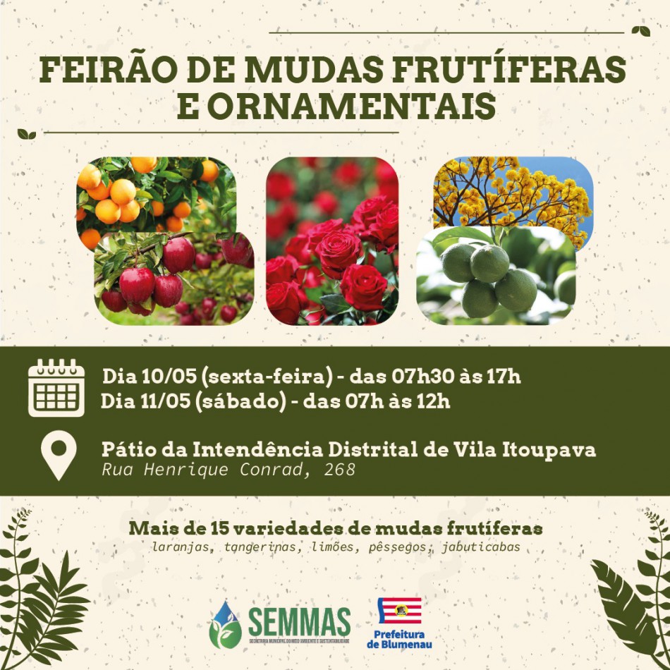 Vila Itoupava recebe feirão de mudas frutíferas e ornamentais nesta sexta e sábado