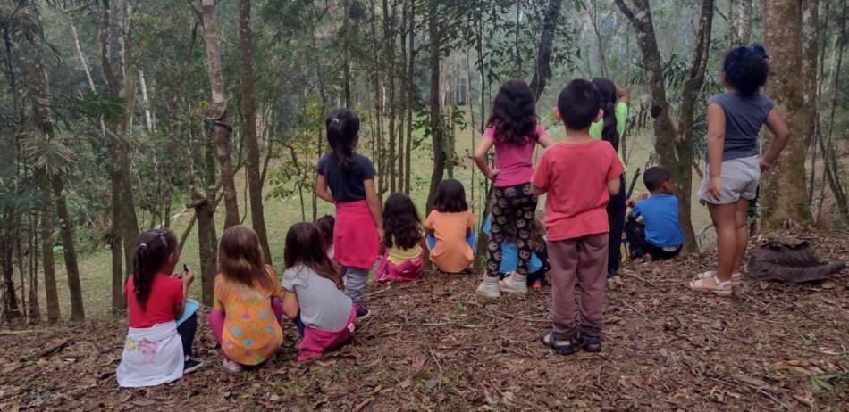 Professora de Blumenau vence prêmio nacional com projeto inovador sobre o ciclo de vida das abelhas