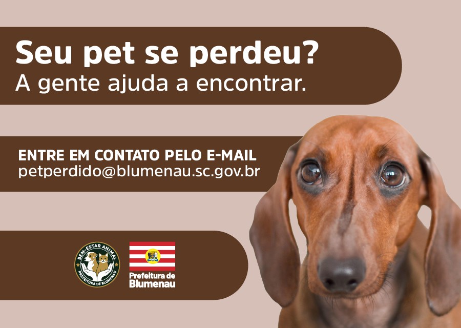 Prefeitura de Blumenau lança programa de divulgação de animais perdidos para auxiliar tutores