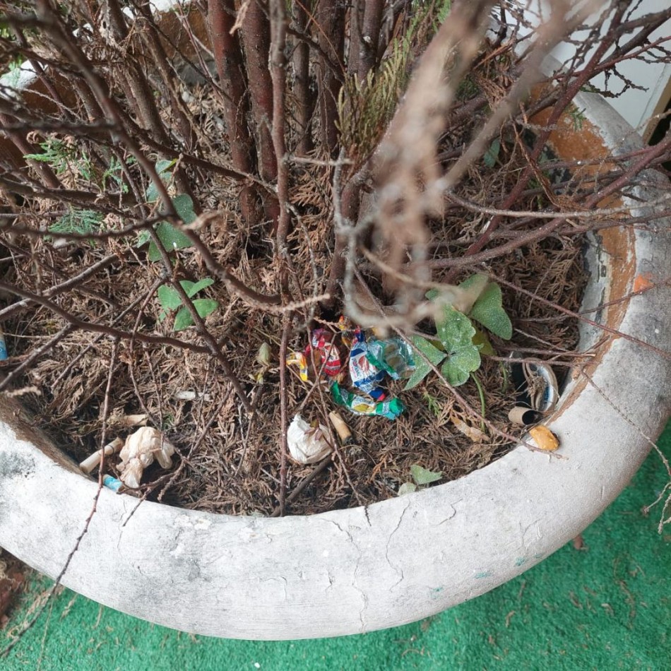 Prefeitura de Blumenau orienta população sobre descarte correto do lixo durante a Páscoa em Blumenau