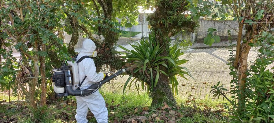 Salto do Norte recebe nova aplicação do fumacê